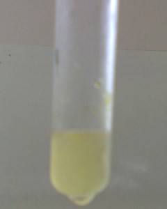 Solución que contiene la sal de diazonio de la anilina     Solución que contiene la sal de diazonio de la anilina