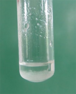 Se observa en el fondo del tubo el compuesto de adición acetona-bisulfito
