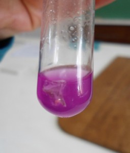 El color rosa frente a la fenolftaleína indica un medio alcalino fuerte