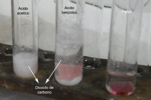 El ácido benzoico también presenta burbujeo frente al bicarbonato.