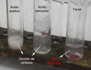 El fenol no reacciona frente a el bicarbonato de sodio.
