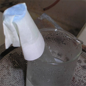 El amoníaco forma un complejo azul con el cobre (II) en el papel que se encuentra en la boca del tubo.