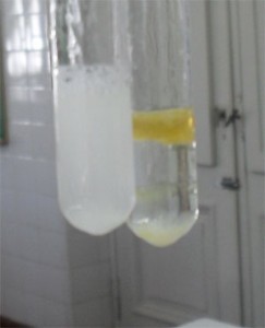 Comparación de la reactividad frente a un hidróxido de un aceite vegetal (izq) y uno mineral (der.)