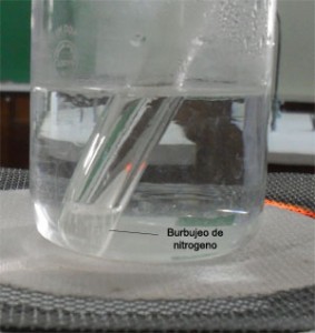 Frente al ácido nitroso la acetamida libera nitrónejo (puede verse el burbujeo)