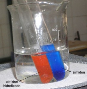 Resultado del test de Fehling para el almidón y el producto de su hidrólisis.