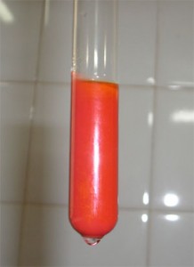 Luego de hidrolizada la sacarosa, la solución resultante de glucosa y fructosa reacciona frente al reactivo de Fehling.