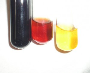 Puede observarse la diferencia en el color del iodo frente a distintas cadenas de glucido: azul para el almidón (izq), rojo para las dextrinas (centro) y amarillo para la matosa (der)